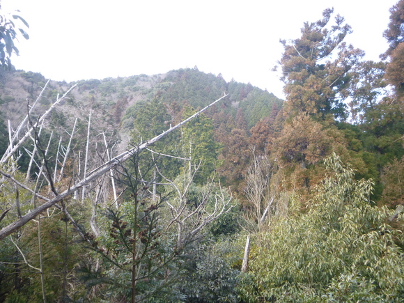d0170615_19331569.jpg