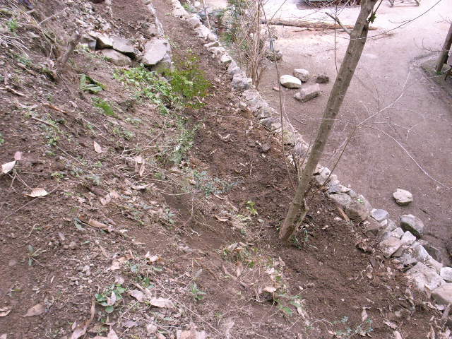 f0341616_21160160.jpg