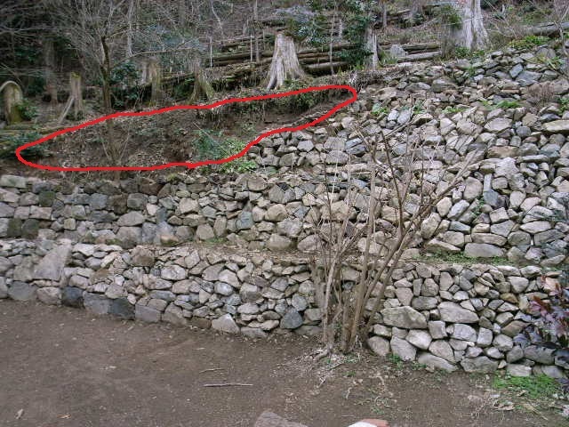 f0341616_21251241.jpg