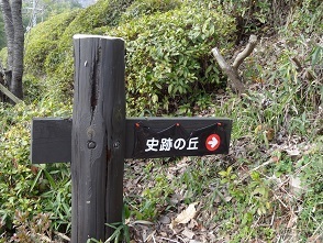f0000521_10052426.jpg