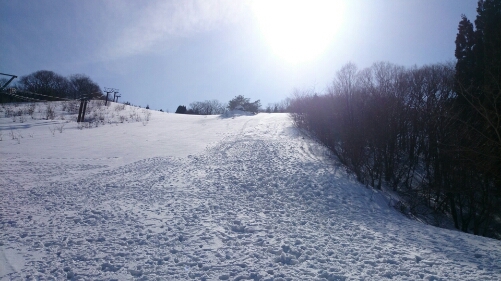 b0148050_1250216.jpg