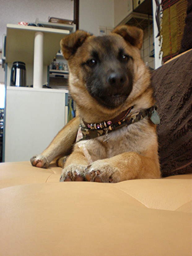 d0006253_18194490.jpg