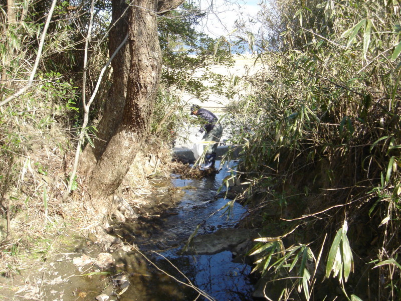 c0108460_00112383.jpg