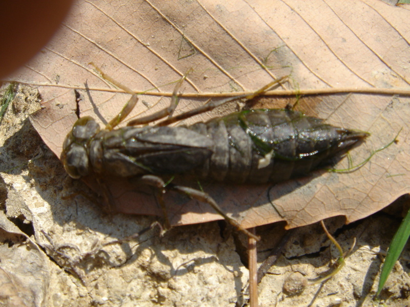 c0108460_00164884.jpg