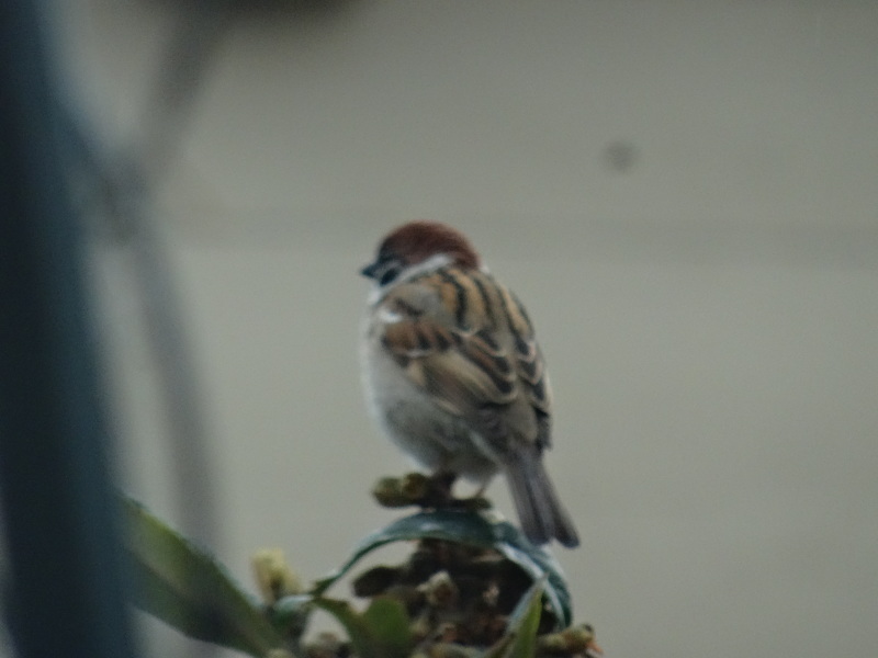 c0108460_17370190.jpg