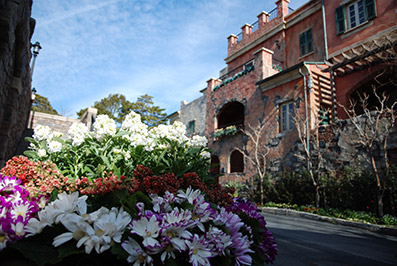 b0059664_13223422.jpg