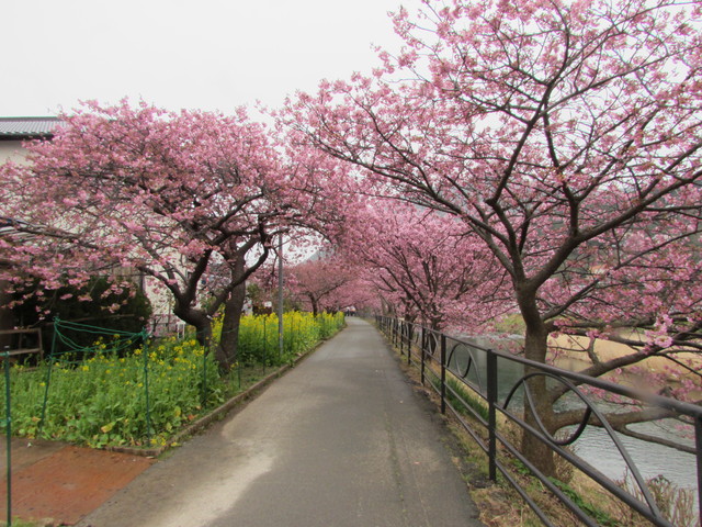 b0203588_21171376.jpg