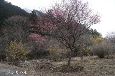 f0353990_18203429.jpg