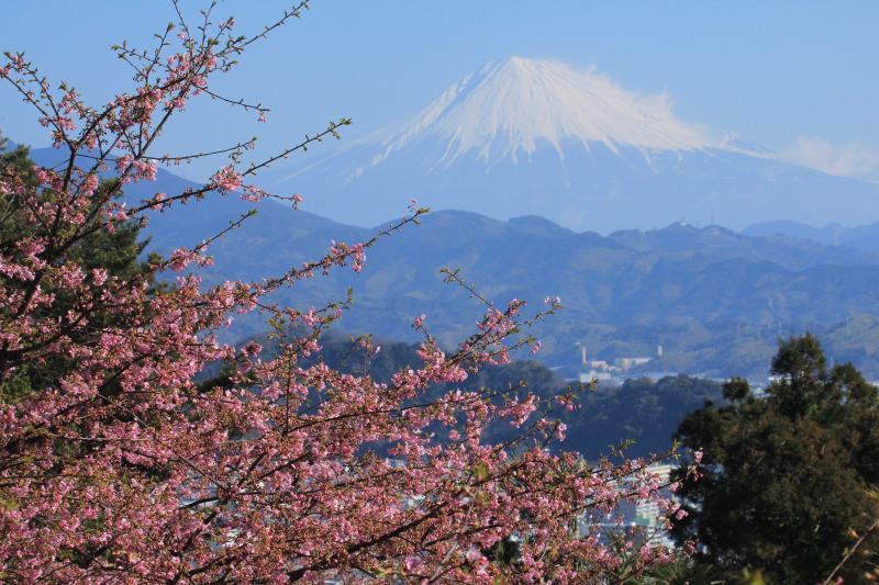 a0188405_21021099.jpg