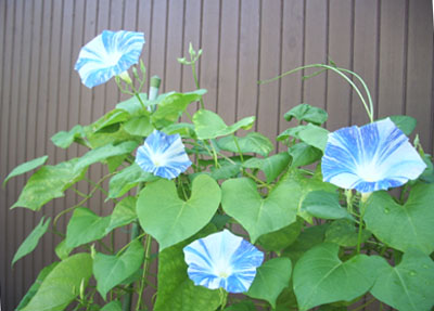 a0019212_22414986.jpg
