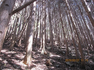 f0193521_19503460.jpg