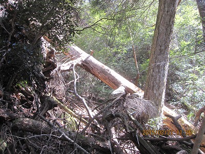 f0193521_19524374.jpg