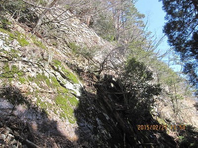 f0193521_19533882.jpg
