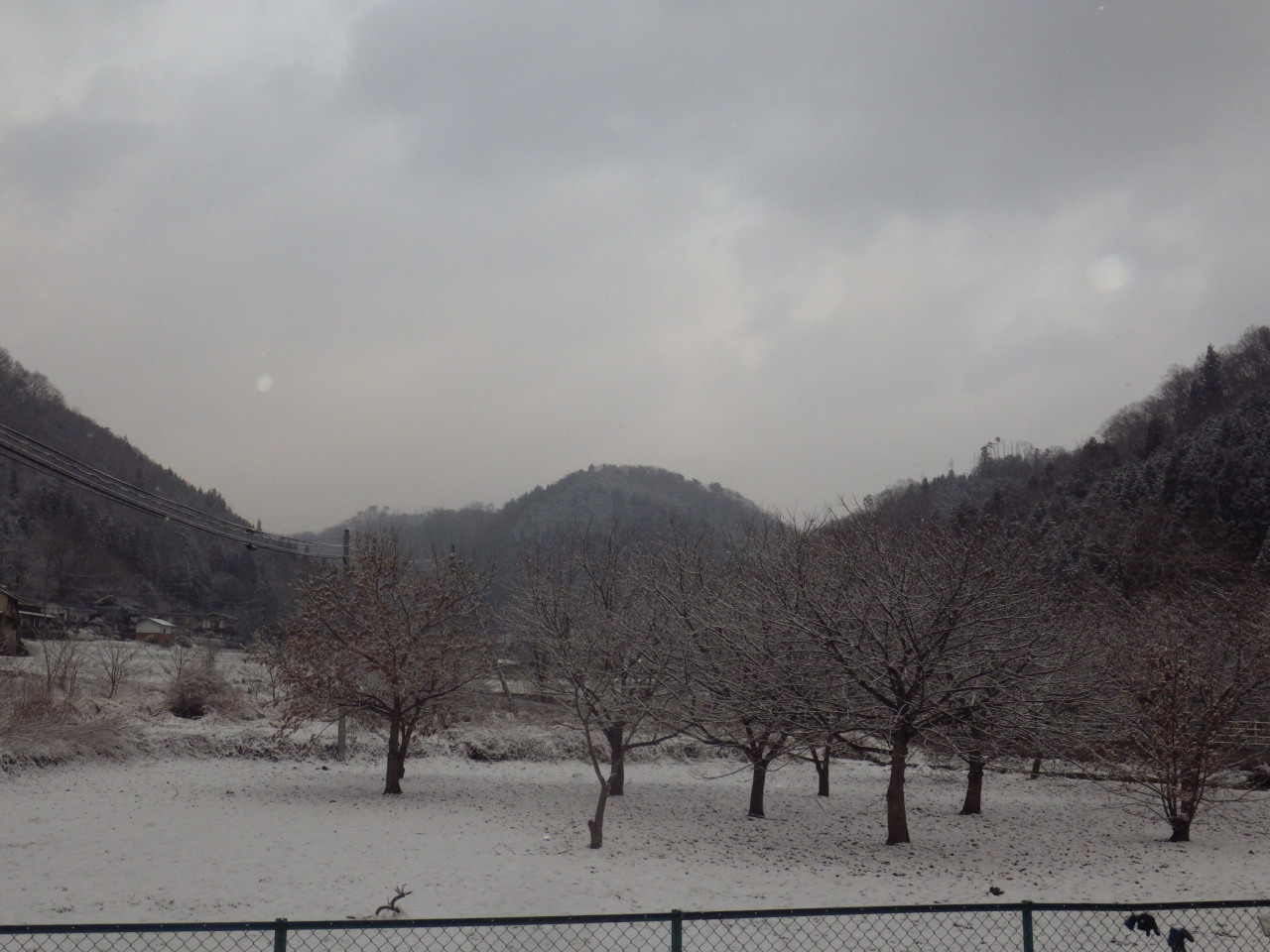 c0300035_1731180.jpg