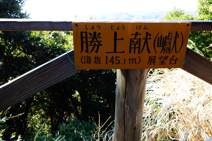 a0287336_20372430.jpg