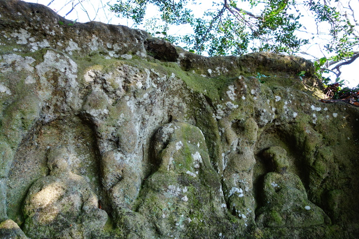 a0287336_20404358.jpg