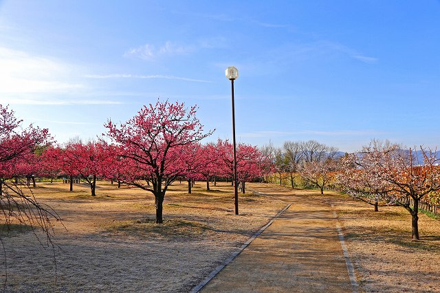 a0242438_19492954.jpg