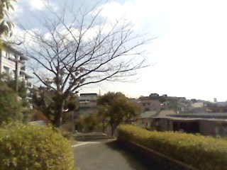e0150843_2231716.jpg