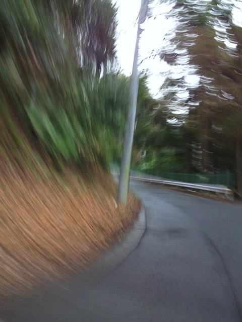 c0039153_1455731.jpg
