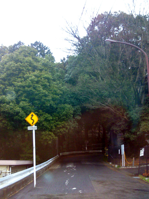 c0039153_146311.jpg