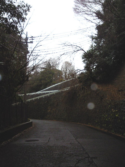 c0039153_146838.jpg