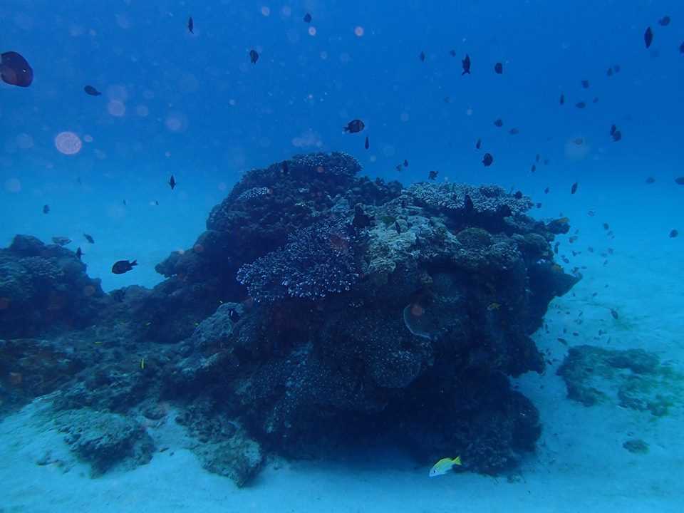 b0062363_16123352.jpg