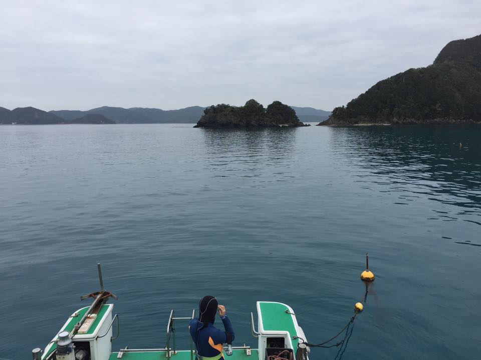 b0062363_1613761.jpg