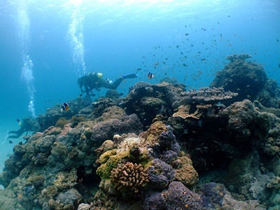 b0033573_17484493.jpg