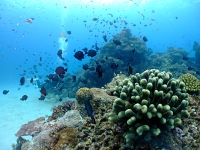 b0033573_17485164.jpg
