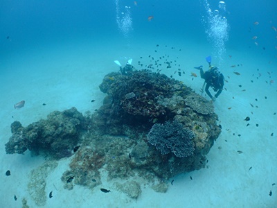 b0033573_17485798.jpg