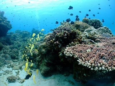 b0033573_17491294.jpg