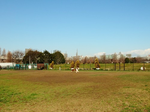 a0157174_1513668.jpg