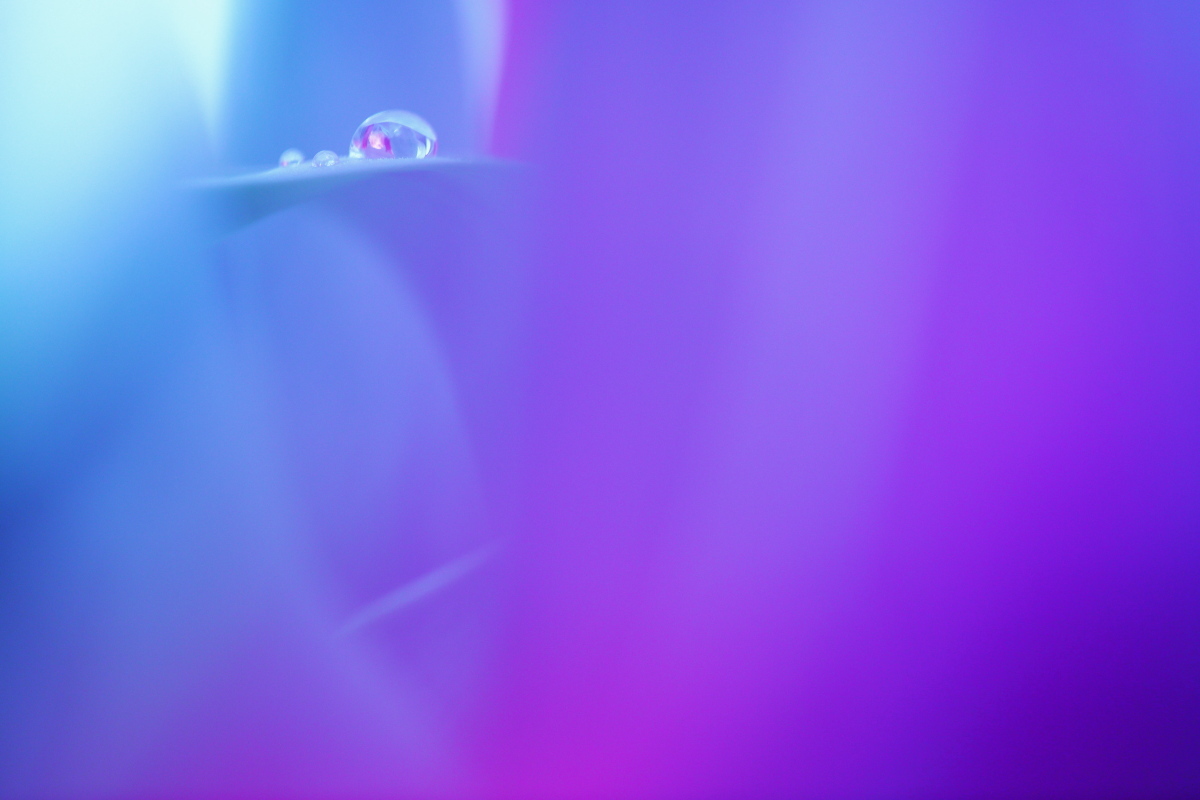 c0268775_23474120.jpg