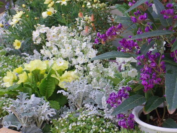 a0152078_917585.jpg