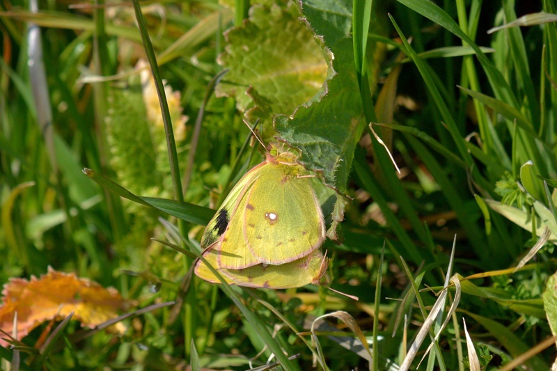 f0031682_10004467.jpg
