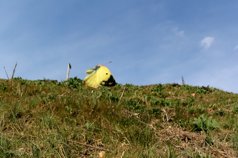 f0031682_10004468.jpg