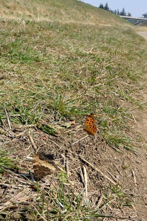 f0031682_10005165.jpg