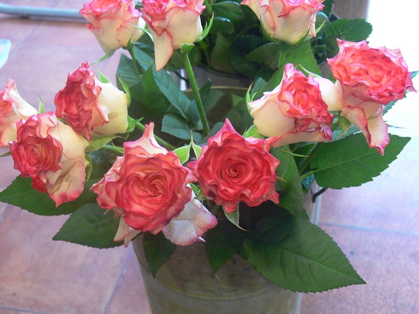 e0140986_181401.jpg