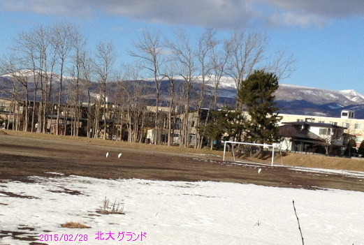 a0337807_19231184.jpg