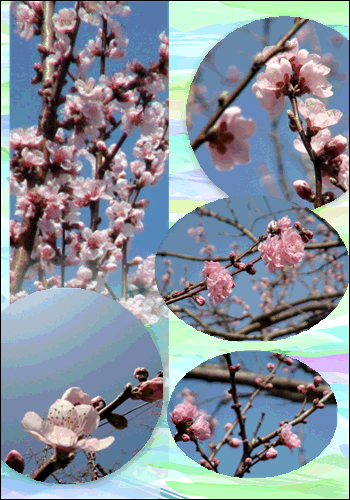 f0231709_20103160.gif
