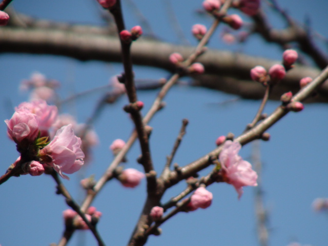 f0231709_20124416.jpg