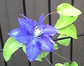 a0019212_11292823.jpg