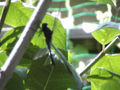a0019212_2101855.jpg