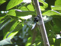 a0019212_21045.jpg