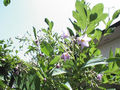 a0019212_21172819.jpg