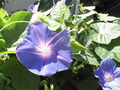 a0019212_21354754.jpg
