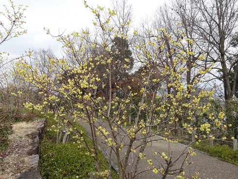 f0000521_20212240.jpg