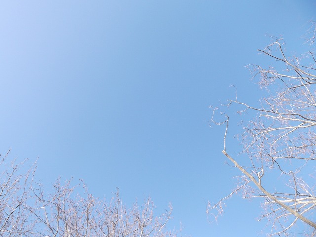a0062127_14313743.jpg