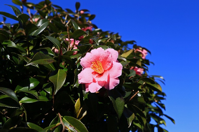 a0242438_20543298.jpg