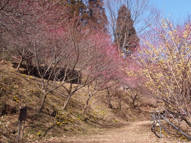 b0335256_22274740.jpg